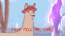 Llamas With Hats Just Tell Me Carl GIF - Llamas With Hats Just Tell Me Carl Paul GIFs