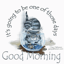 Goodmorning Its Going To Be One Of Those Days GIF - Goodmorning Its Going To Be One Of Those Days Cat GIFs