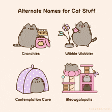 a cartoon of a cat with the words " alternate names for cat stuff " at the top