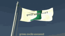 Calimunk Green Socks GIF - Calimunk Green Socks GIFs