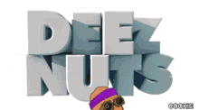 Deez Nuts Nft Deez Nuts Gif GIF