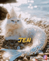 a picture of a cat dressed as a mermaid with jen written in yellow
