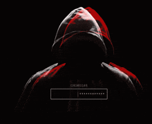 a person in a hooded jacket with the word password on it