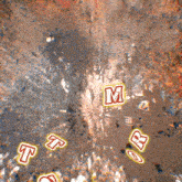 the word wel is surrounded by other words