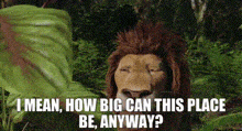 The Wild Movie Samson GIF - The Wild Movie Samson I Mean How Big Can This Place Be Anyway GIFs
