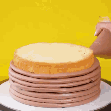 a person is icing a cake with a piping bag .