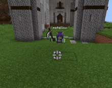 a screenshot of a minecraft game with the name metallicoc