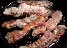 bae bacon