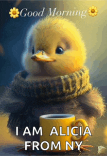 a duck with a scarf around its neck is holding a cup of coffee and says " good morning i am alicia from ny "