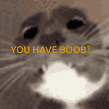 boob based