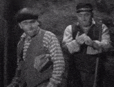 The 3 Stooges The Three Stooges GIF - The 3 Stooges The Three Stooges 3 Stooges GIFs