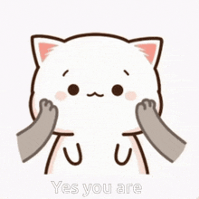 a cartoon cat is petting another cat 's face and the cat is saying yes you are .