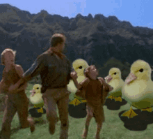 ducks running chasing