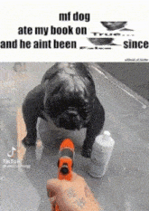 a black dog is standing next to a person holding a hose and a bottle of soap .
