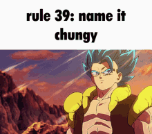 Rule39 Name It Chungy GIF - Rule39 Name It Chungy Gogeta GIFs
