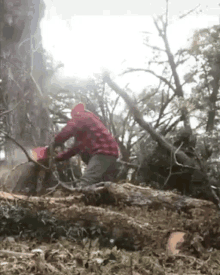Lumberjack Tree GIF - Lumberjack Tree Chainsaw GIFs