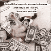 a cat is laying in a pile of money with the words " you will find money in unexpected places probably in the laundry "