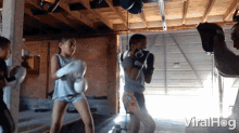 Boxing Punching GIF