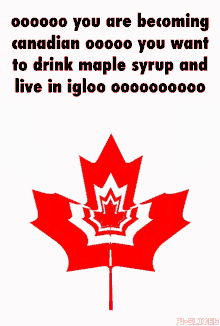 Canada Syrup GIF - Canada Syrup GIFs