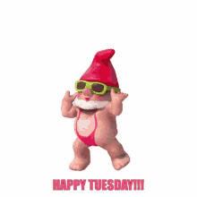 Happy Tuesday Gnome GIF