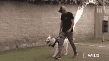 Lets Go For A Walk Ghost GIF - Lets Go For A Walk Ghost Matt Beisner GIFs