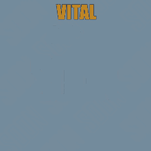 Vitalhopon Vitalrp GIF - Vitalhopon Vitalrp Gtarp GIFs