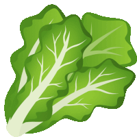 Leafy Green Food Sticker - Leafy Green Food Joypixels Stickers