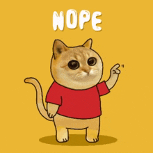 Catcoin Cat Meme GIF