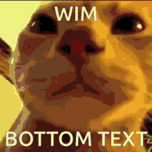 Wim Bottom Text GIF - Wim Bottom Text Wim Bottom Text GIFs