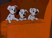 101dalmatians puppies shocked hide hiding