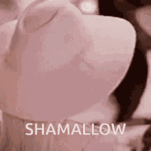 a close up of a hat with the word shamallow written on it