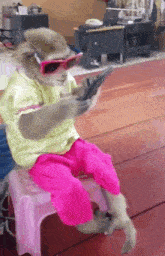 a monkey wearing pink shorts and sunglasses is sitting on a pink stool holding a cell phone