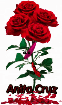 Rosas Y Mariposa GIF - Rosas Y Mariposa GIFs