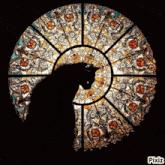 a stained glass window with a black cat in the center