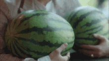 Hoya Devilish Joy GIF - Hoya Devilish Joy Watermelons GIFs