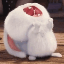 Jungkook Rabbit GIF - Jungkook Rabbit Jungkook Conejo Snowball GIFs