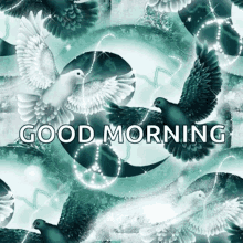 Good Morning Birds GIF - Good Morning Birds Greetings GIFs