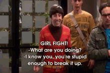 Girl Fight! GIF - Girl Fight Bbt Big Bang Theory GIFs