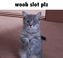 Woob GIF - Woob GIFs