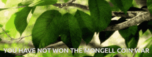 Pikmin You Have Not Won GIF - Pikmin You Have Not Won GIFs