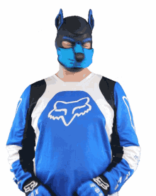 rinno fox puppy fox blau fox fox cologne