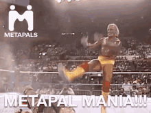 Metapals Metapalmania GIF - Metapals Meta Metapalmania GIFs