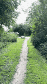 a dirt path going through a park with trees on both sides