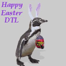 Happy Easter Penguin GIF - Happy Easter Penguin Easter GIFs