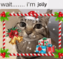 Wait Im Jolly Cat GIF - Wait Im Jolly Cat Christmas GIFs
