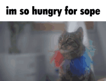 Sope Cat GIF - Sope Cat Bobarens GIFs