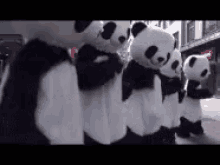 Panda GIF - Panda Costume Panda Dancing GIFs