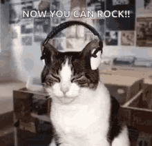 Cat Headphones GIF - Cat Headphones Jamming GIFs