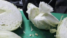 a person is cutting a cabbage on a green cutting board with the words made in animotica on the bottom