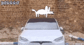 Tesla Elon Musk GIF - Tesla Elon Musk Tesla Dogggo GIFs